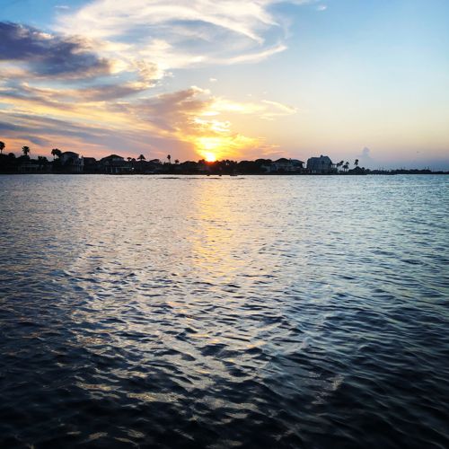 Nature photograph 16